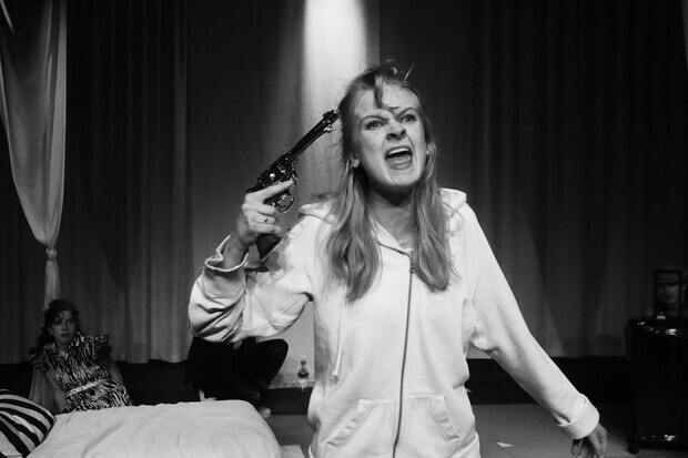 Anton Tsjekhov- Vill Honning