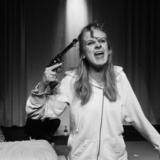 Anton Tsjekhov- Vill Honning