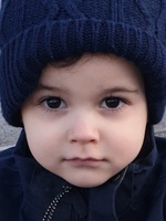 Aris