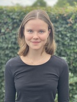 Stine