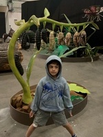 Devvin