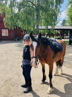Lovisa