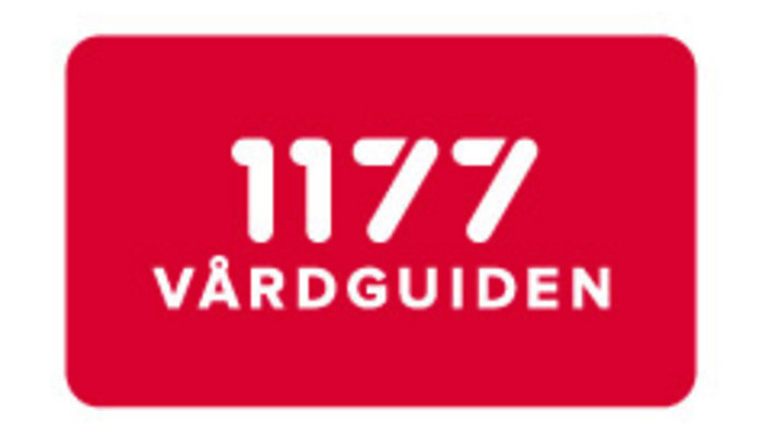 Barn och vuxna skes till fotografering