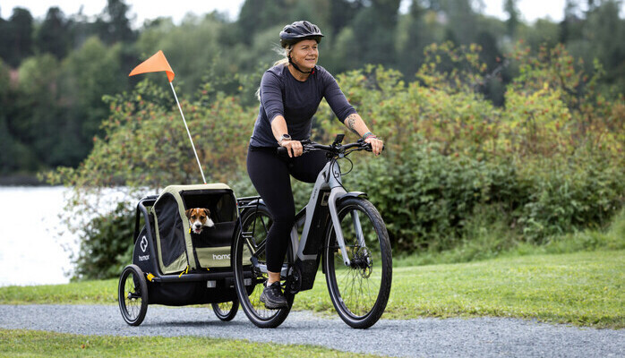 HASTER! Veldressert og søt hund søkes til modelloppdrag i Moss