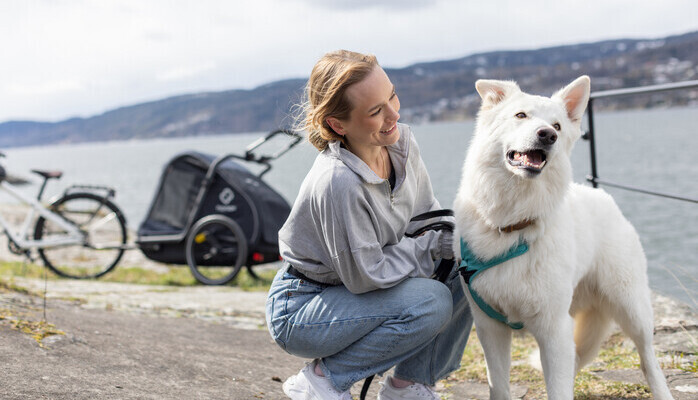 Hunder, menn og kvinner skes til fotoshoot i studio p Alnabru