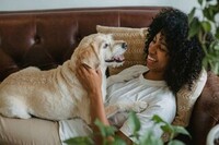 Søker eiere med katt eller hund til bildebankopptak for veterinærkjede