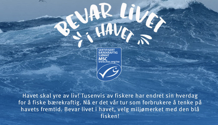 Lampett søker skuespiller til Msc reklame