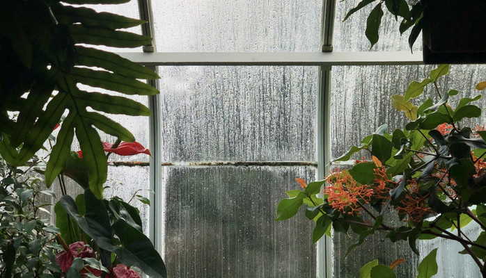 Modeller skes till trdgrdsvarumrke