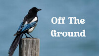 Off The Ground- Main role