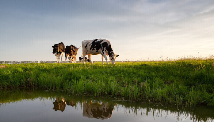 Söker huvudroll – TYRA (19–21) – Coming-of-age dramaserie för TikTok