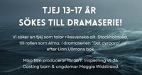 Tjej 13-17 år sökes till Det dyrbara!