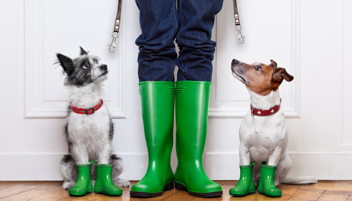 Skuespiller til reklame for GPS-tracker til hund 