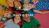 BARN 8-12r skes till probono-projekt fr antimobbningsorganisation!