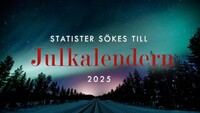 Mn och kvinnor skes till julkalendern