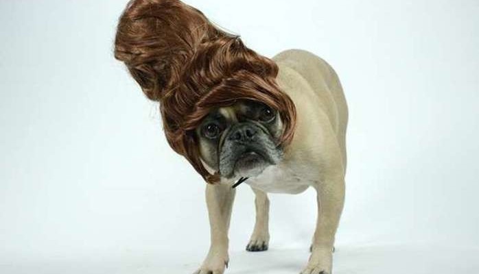 Statister skes till frgstark webbfilm