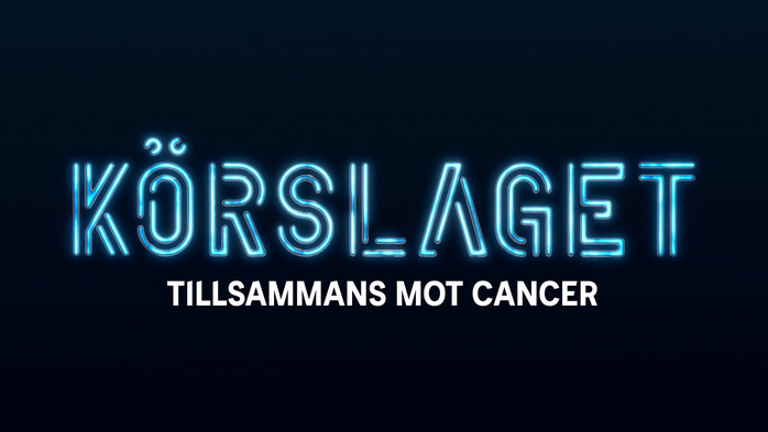 Tv-inspelning Krslaget - Kom som publik tisdag den 28 oktober 2025 kl 15:50 - 20.25