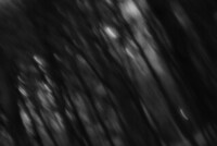 Fotografiskt/filmiskt konstprojekt 