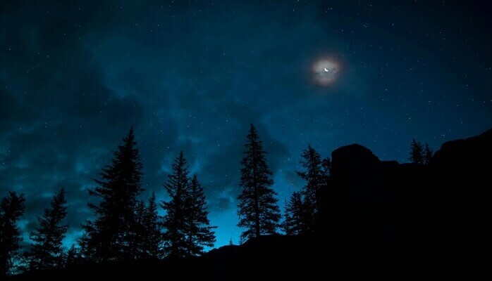 Kvinnlig body-double sökes till en psykologisk kortfilm med höga ambitioner!