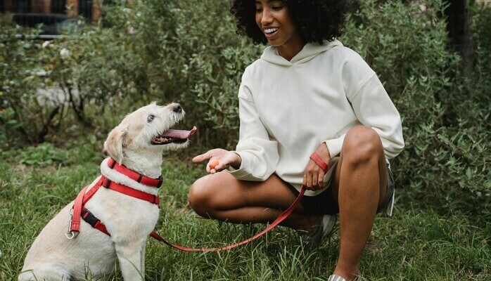 Skdespelare/statist + hund skes till reklaminspelning! 