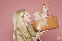 Kvinne med langt blondt hår ca. 164 cm høy søkes til et opptak 