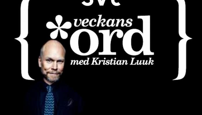 Tv-publik till Svt-programmet Veckans Ord med Kristian Luuk - Ons 16 feb
