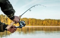 Mann 28–38 år søkes til UGC-reklamer for norsk fiskemerke