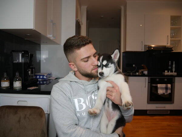 Hund Hund
