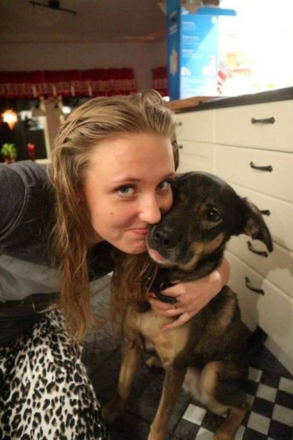Hund