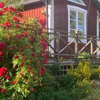 Sommarstuga Sommarstuga
