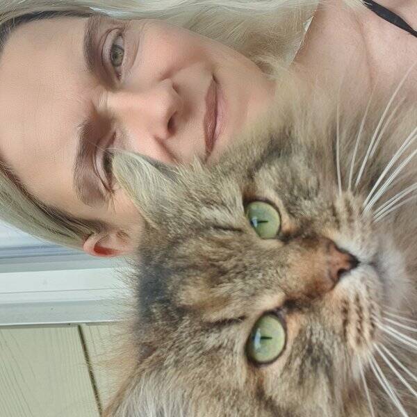 Katt