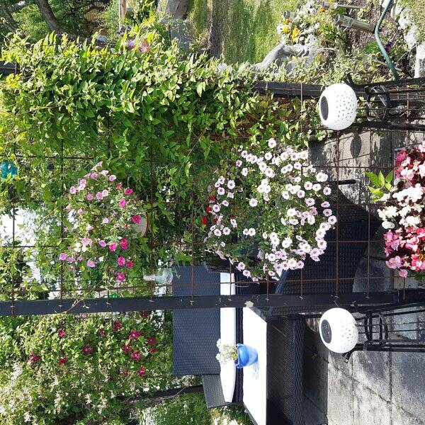 Sommarstuga