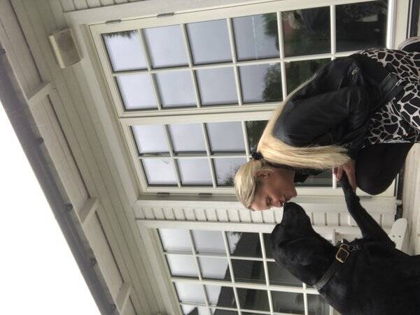 Hund - Svart Labrador. 