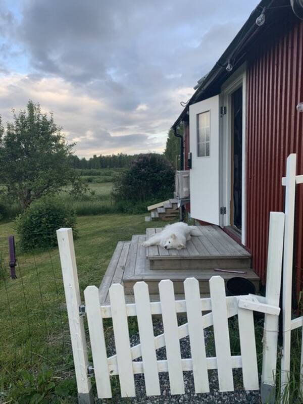 Sommarstuga