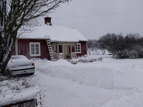 Hus