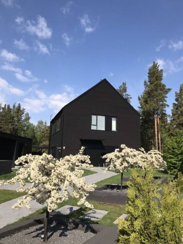 Hus