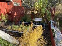 Sommarstuga