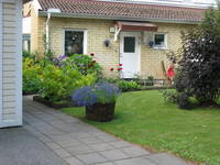 Hus