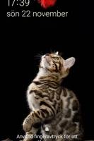 Sommarstuga Sommarstuga