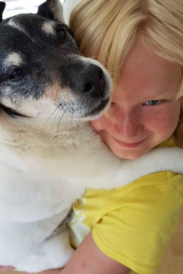 Hund
