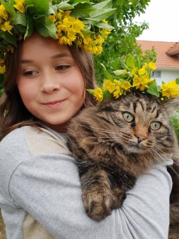 Katt Katt