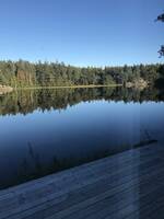 Sommarstuga Sommarstuga