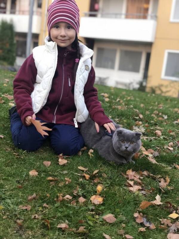 Katt