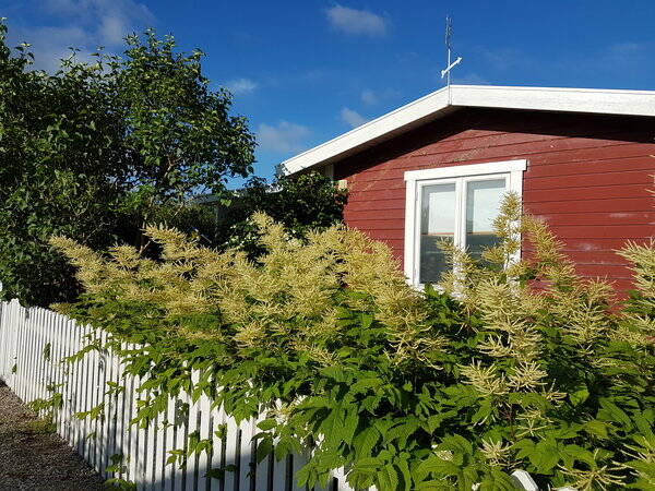 Sommarstuga