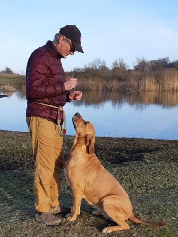 Hund