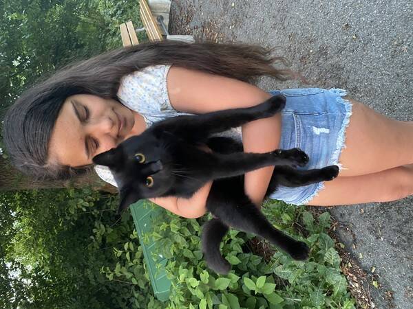 Katt