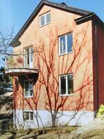 Hus