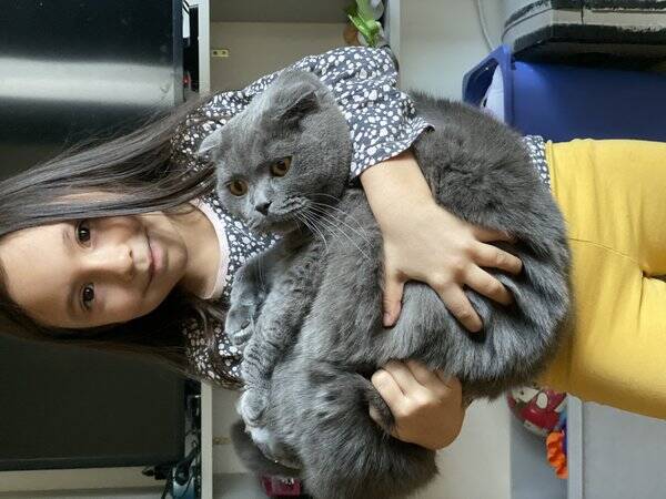 Katt