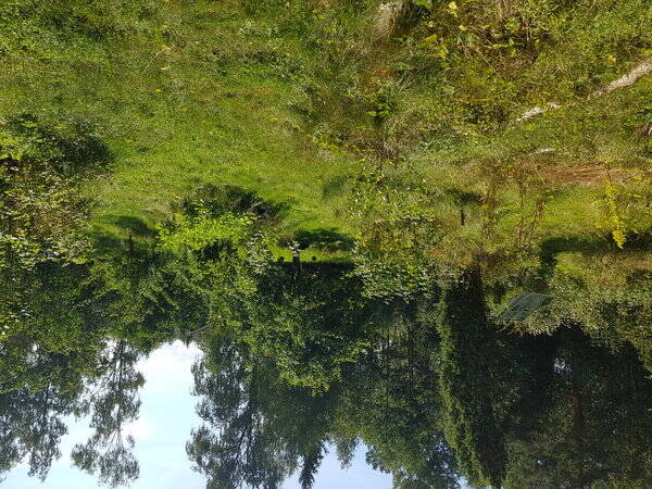 Sommarstuga