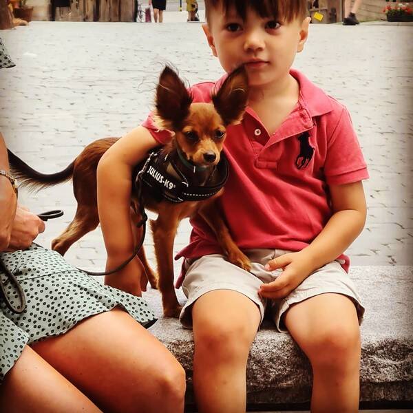 Hund Hund