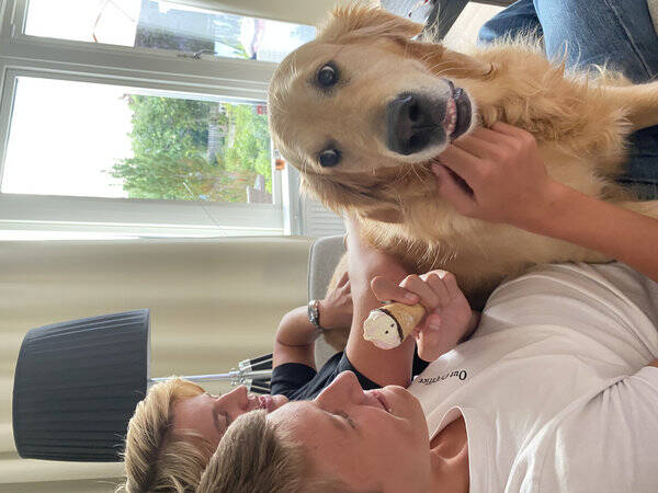 Hund